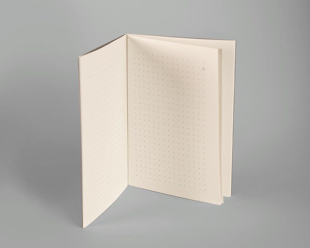 საჩანთე რვეული