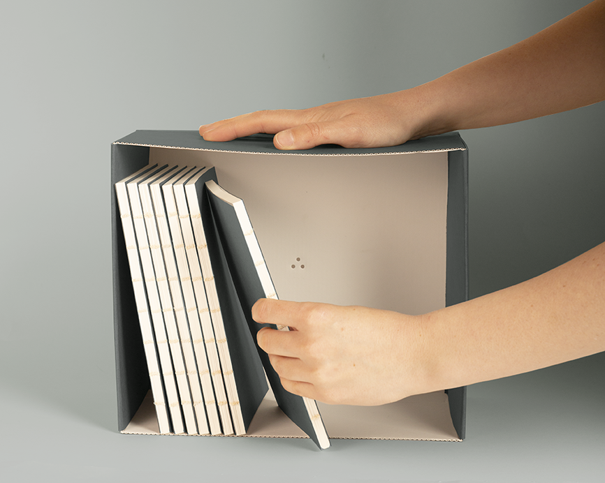 შიგთავსების დასაარქივებელი ყუთი