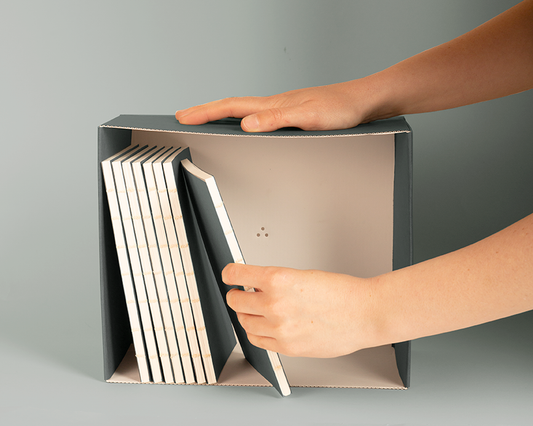 შიგთავსების დასაარქივებელი ყუთი