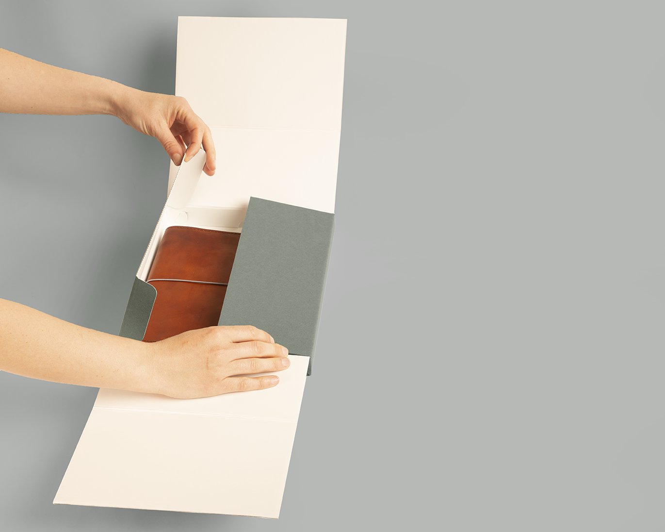 შიგთავსების დასაარქივებელი ყუთი